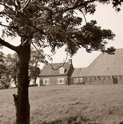 Dezelfde boerderij gezien vanuit het zuiden. Hier is duidelijk zichtbaar dat het hier gaat om een kop-hals-romp type.